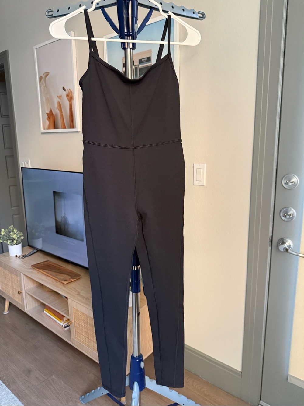 Aritzia Divinity Jumpsuit